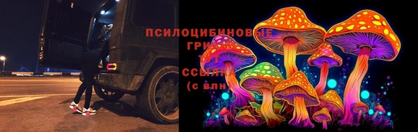 гашик Балахна